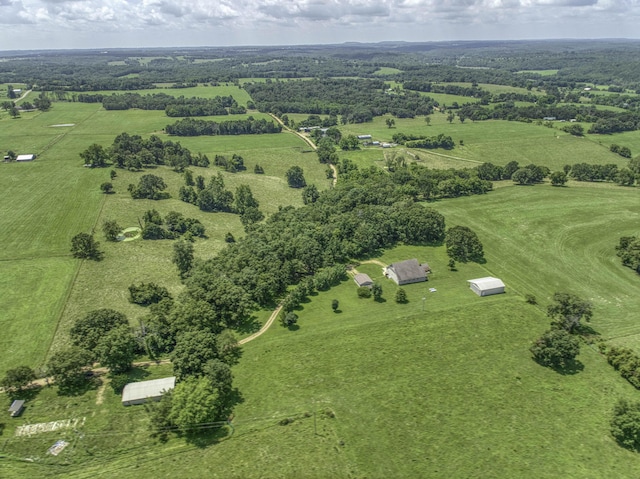 6461 Raney Rd, Norwood, MO 65717 - photo 52