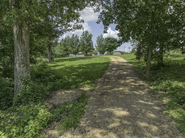 6461 Raney Rd, Norwood, MO 65717 - photo 47