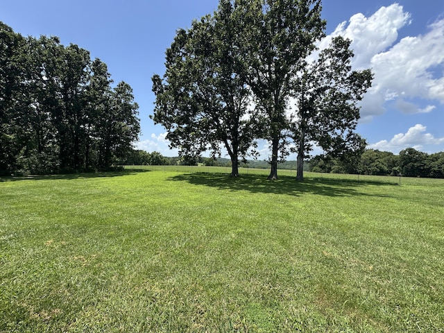 6461 Raney Rd, Norwood, MO 65717 - photo 44