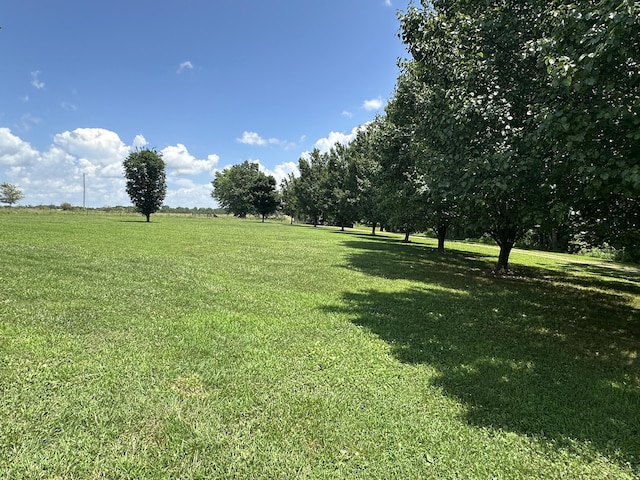 6461 Raney Rd, Norwood, MO 65717 - photo 45