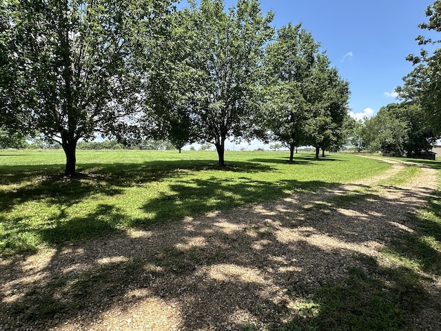 6461 Raney Rd, Norwood, MO 65717 - photo 46