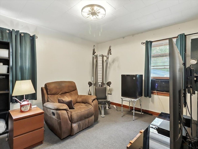 403 Barton St, Alton, MO 65606 - photo 20