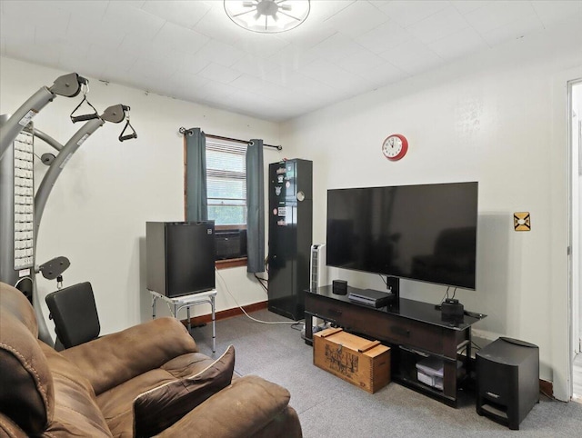 403 Barton St, Alton, MO 65606 - photo 21