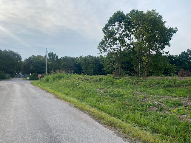 000 Farm Rd Unit 1045, Exeter, MO 65647 - photo 12