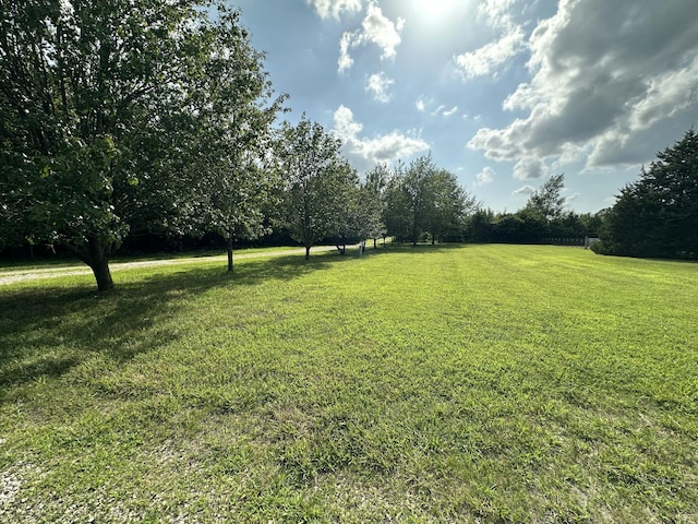 463 Redbird Dr, Marshfield, MO 65706 - photo 6