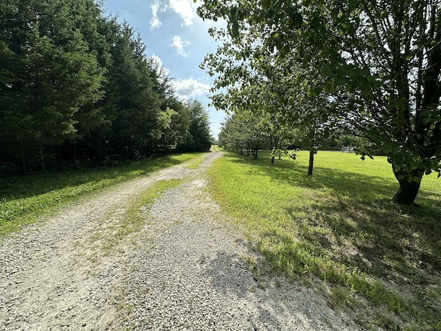 463 Redbird Dr, Marshfield, MO 65706 - photo 7