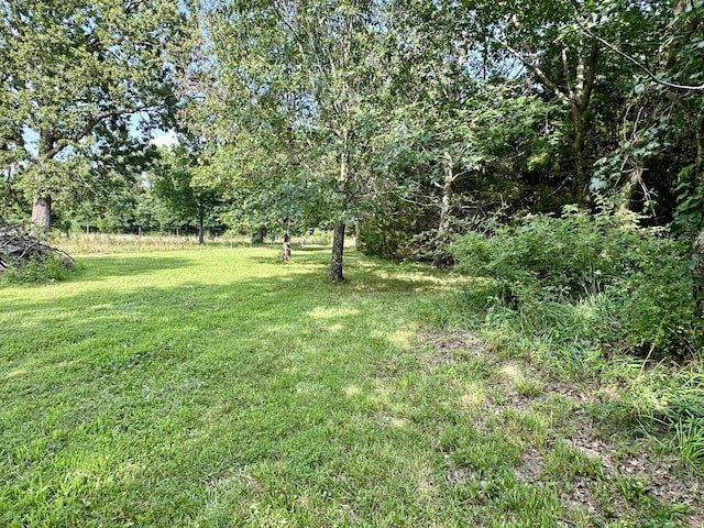 463 Redbird Dr, Marshfield, MO 65706 - photo 38
