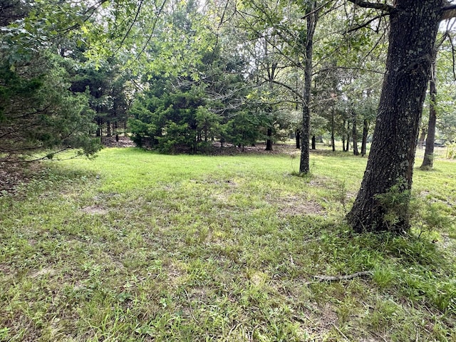 463 Redbird Dr, Marshfield, MO 65706 - photo 40