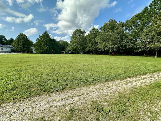 463 Redbird Dr, Marshfield, MO 65706 - photo 44