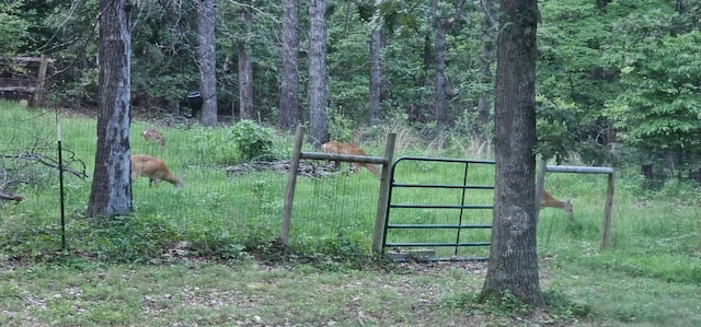 22351 S 672nd Rd, Wyandotte, OK 74370 - photo 28