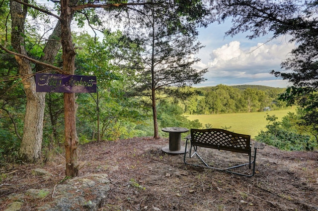 6700 W Farm Rd 10, Willard, MO 65781 - photo 59