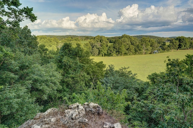 6700 W Farm Rd 10, Willard, MO 65781 - photo 58