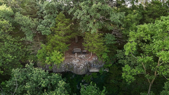 6700 W Farm Rd 10, Willard, MO 65781 - photo 78