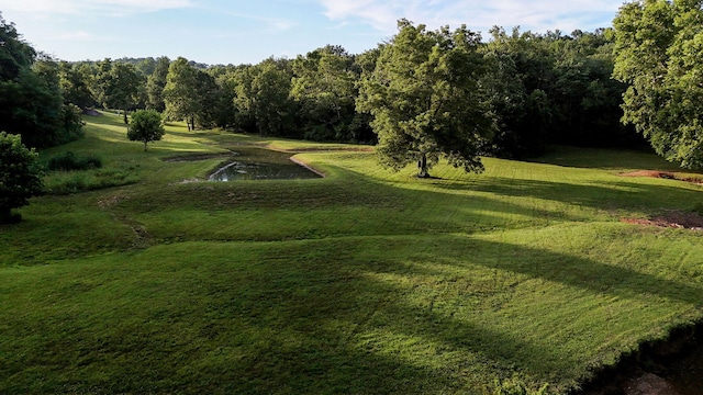 6700 W Farm Rd 10, Willard, MO 65781 - photo 80