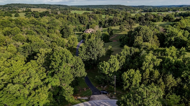 6700 W Farm Rd 10, Willard, MO 65781 - photo 79