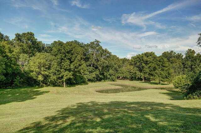 6700 W Farm Rd 10, Willard, MO 65781 - photo 69