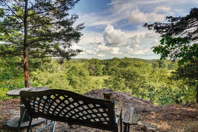 6700 W Farm Rd 10, Willard, MO 65781 - photo 74