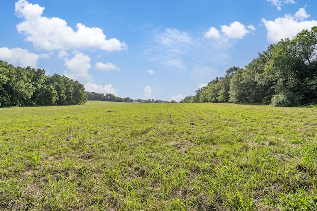 000 E Farm Rd Unit 174, Rogersville, MO 65742 - photo 10