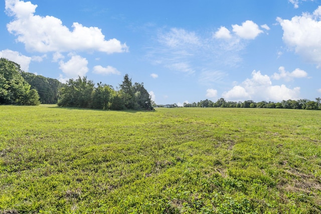 000 E Farm Rd Unit 174, Rogersville, MO 65742 - photo 11
