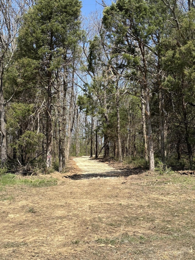 000 E Farm Rd Unit 174, Rogersville, MO 65742 - photo 5
