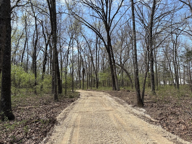 000 E Farm Rd Unit 174, Rogersville, MO 65742 - photo 4