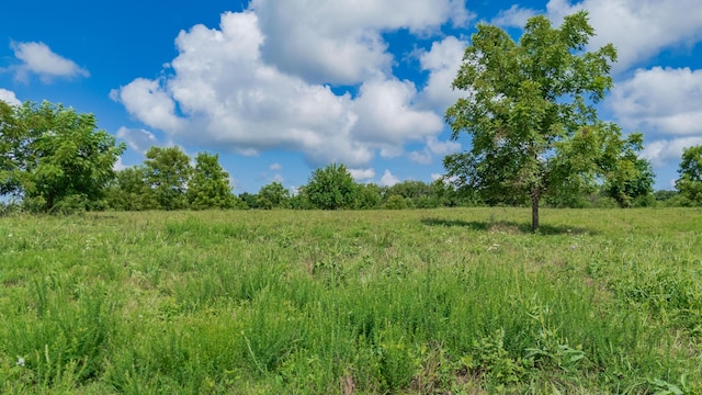 19525 S 975th Rd, Stockton, MO 65785 - photo 26