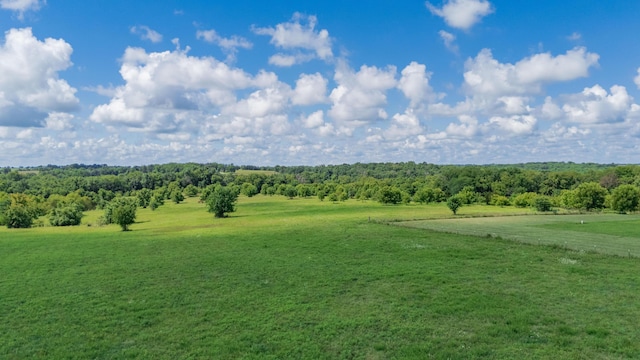 19525 S 975th Rd, Stockton, MO 65785 - photo 7