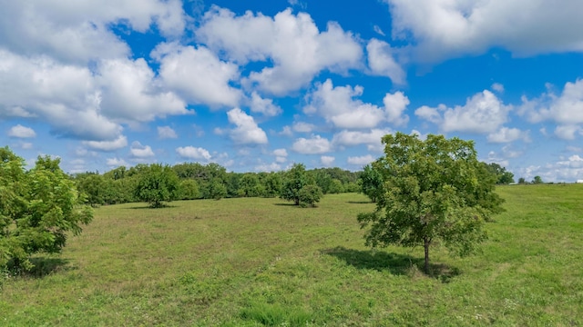 19525 S 975th Rd, Stockton, MO 65785 - photo 9
