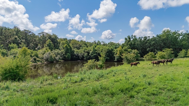 19525 S 975th Rd, Stockton, MO 65785 - photo 28