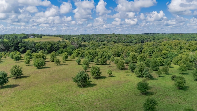 19525 S 975th Rd, Stockton, MO 65785 - photo 8
