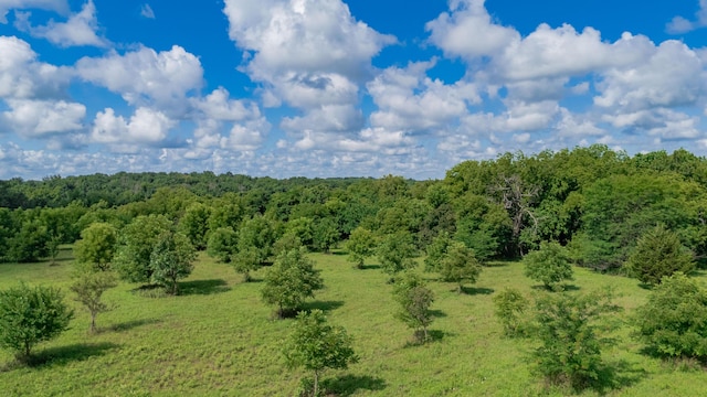 19525 S 975th Rd, Stockton, MO 65785 - photo 22