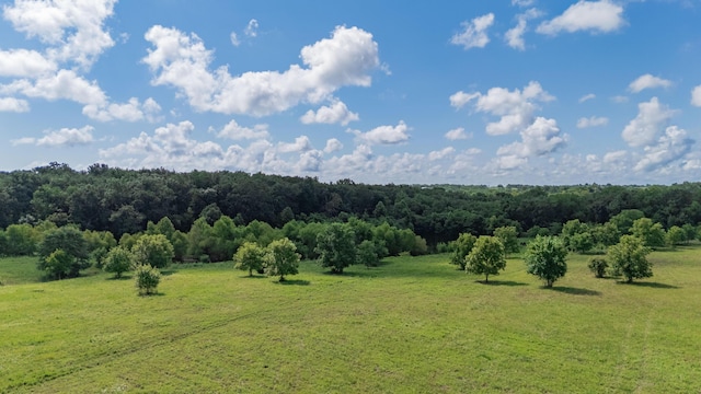 19525 S 975th Rd, Stockton, MO 65785 - photo 23
