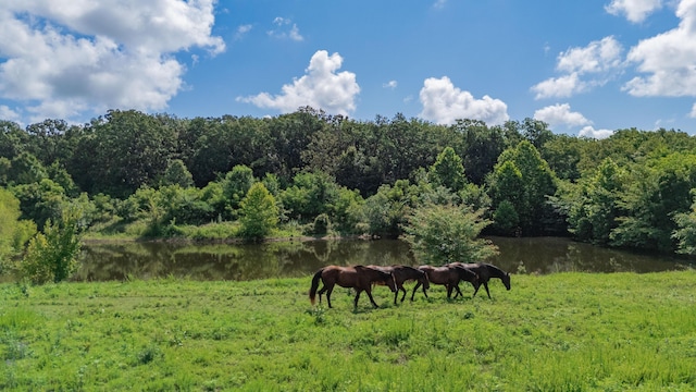19525 S 975th Rd, Stockton, MO 65785 - photo 15