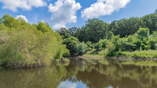 19525 S 975th Rd, Stockton, MO 65785 - photo 13