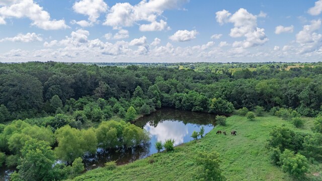 19525 S 975th Rd, Stockton, MO 65785 - photo 10