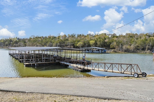 22 Eagle Dr, Reeds Spring, MO 65737 - photo 26