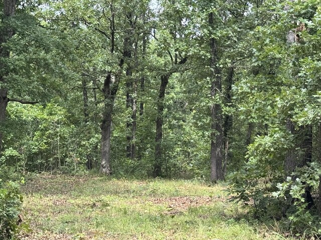 00 Post Oak, Tunas, MO 65764 - photo 5