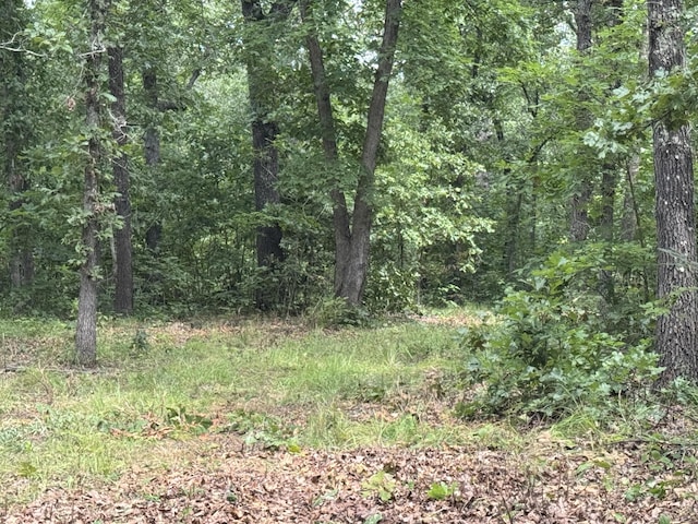 00 Post Oak, Tunas, MO 65764 - photo 6