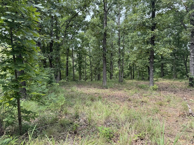 00 Post Oak, Tunas, MO 65764 - photo 4