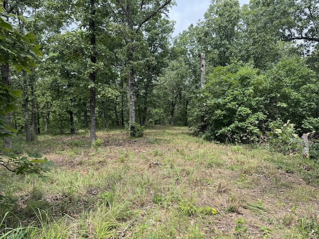 00 Post Oak, Tunas, MO 65764 - photo 3