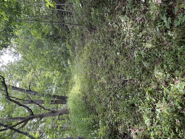 00 Post Oak, Tunas, MO 65764 - photo 9