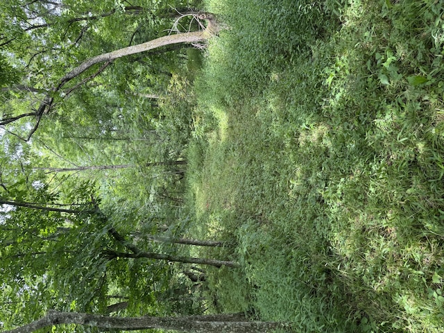 00 Post Oak, Tunas, MO 65764 - photo 11