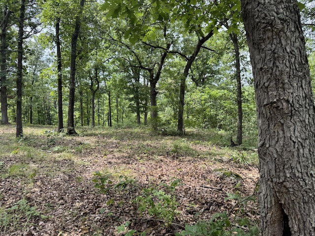 00 Post Oak, Tunas, MO 65764 - photo 10