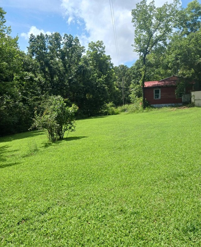 334 County Road 867, Isabella, MO 65676 - photo 9