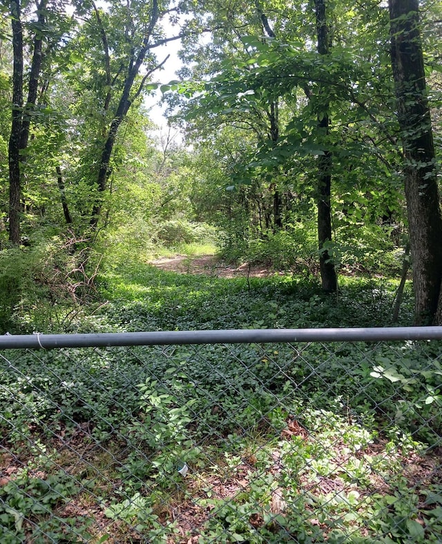 334 County Road 867, Isabella, MO 65676 - photo 12