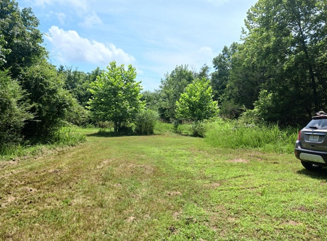 334 County Road 867, Isabella, MO 65676 - photo 27