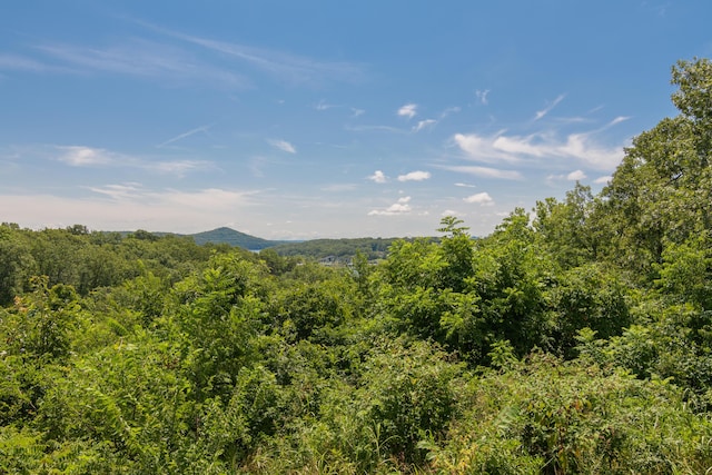 21359 Winter Mist Ln, Shell Knob, MO 65747 - photo 57