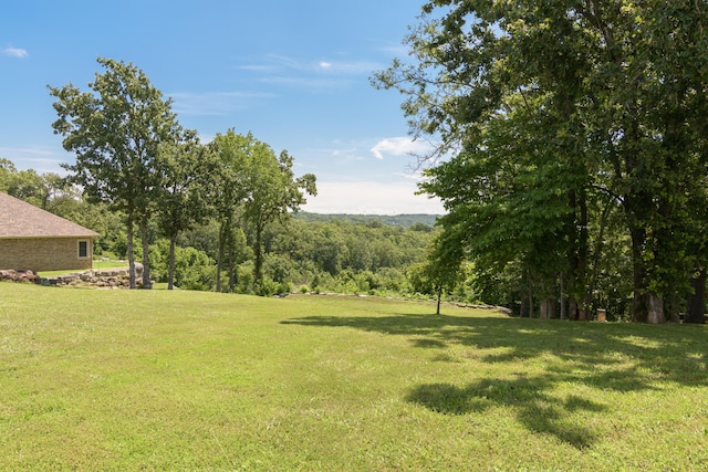 21359 Winter Mist Ln, Shell Knob, MO 65747 - photo 55