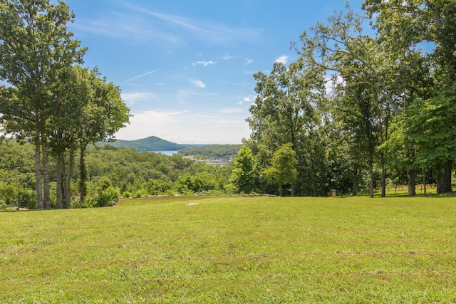 21359 Winter Mist Ln, Shell Knob, MO 65747 - photo 56