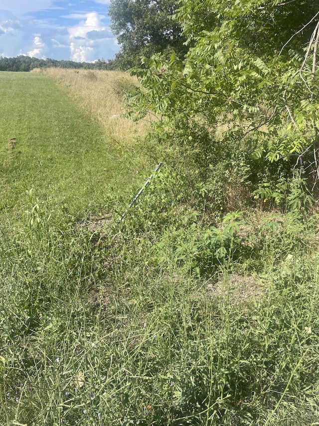 000 Farm Rd Unit 2015, Aurora, MO 65605 - photo 2